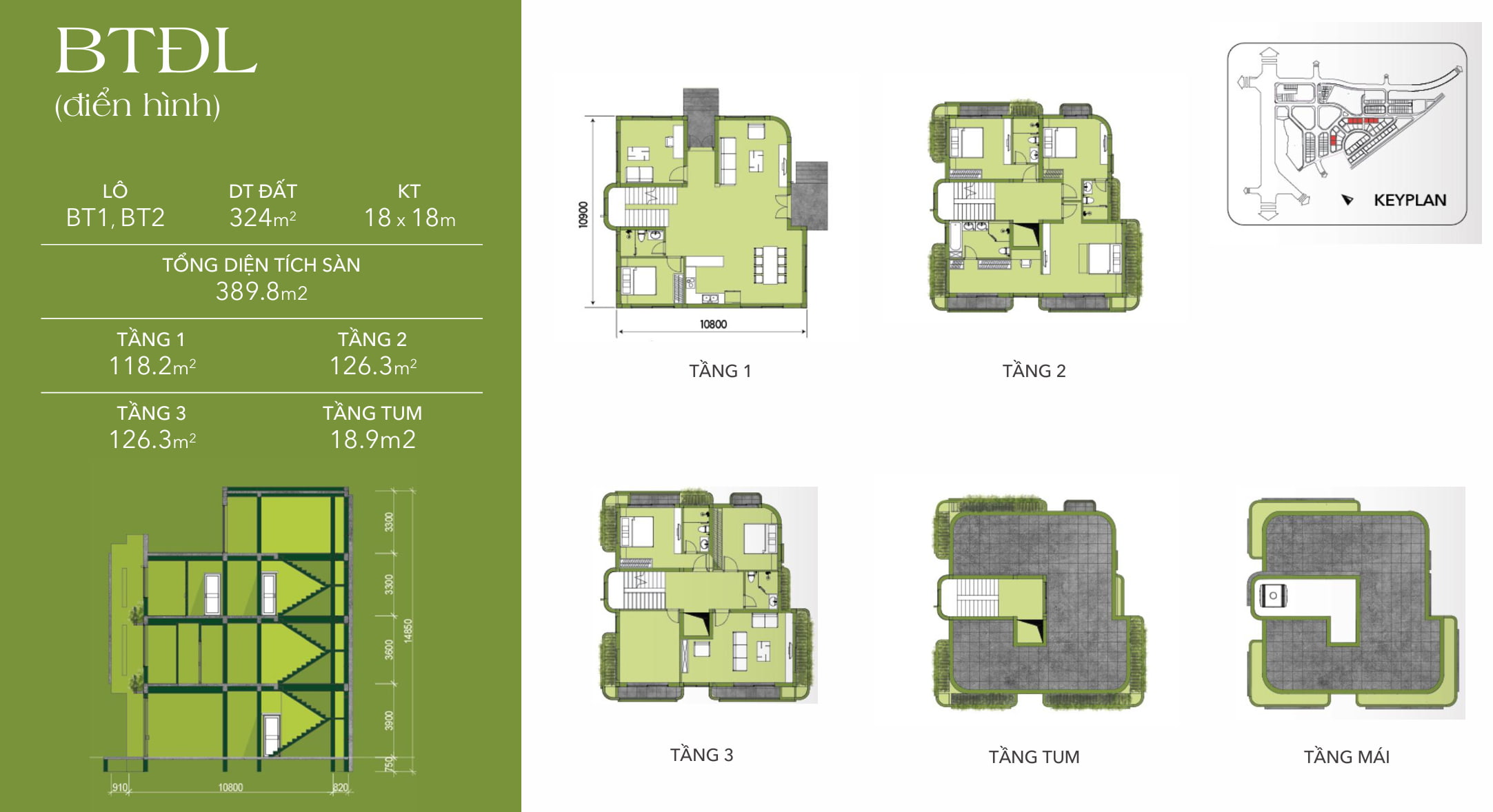 Mặt bằng biệt thự Oasis Villas